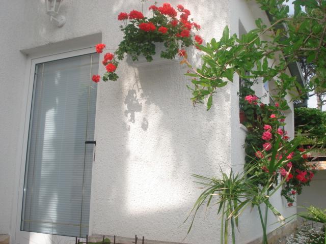 Apartment Peric *